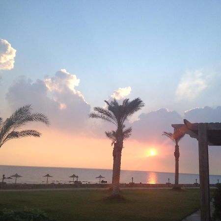 Beach Front Chalet عين السخنة المظهر الخارجي الصورة