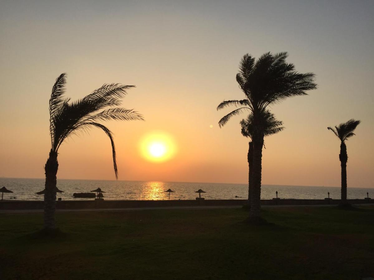 Beach Front Chalet عين السخنة المظهر الخارجي الصورة